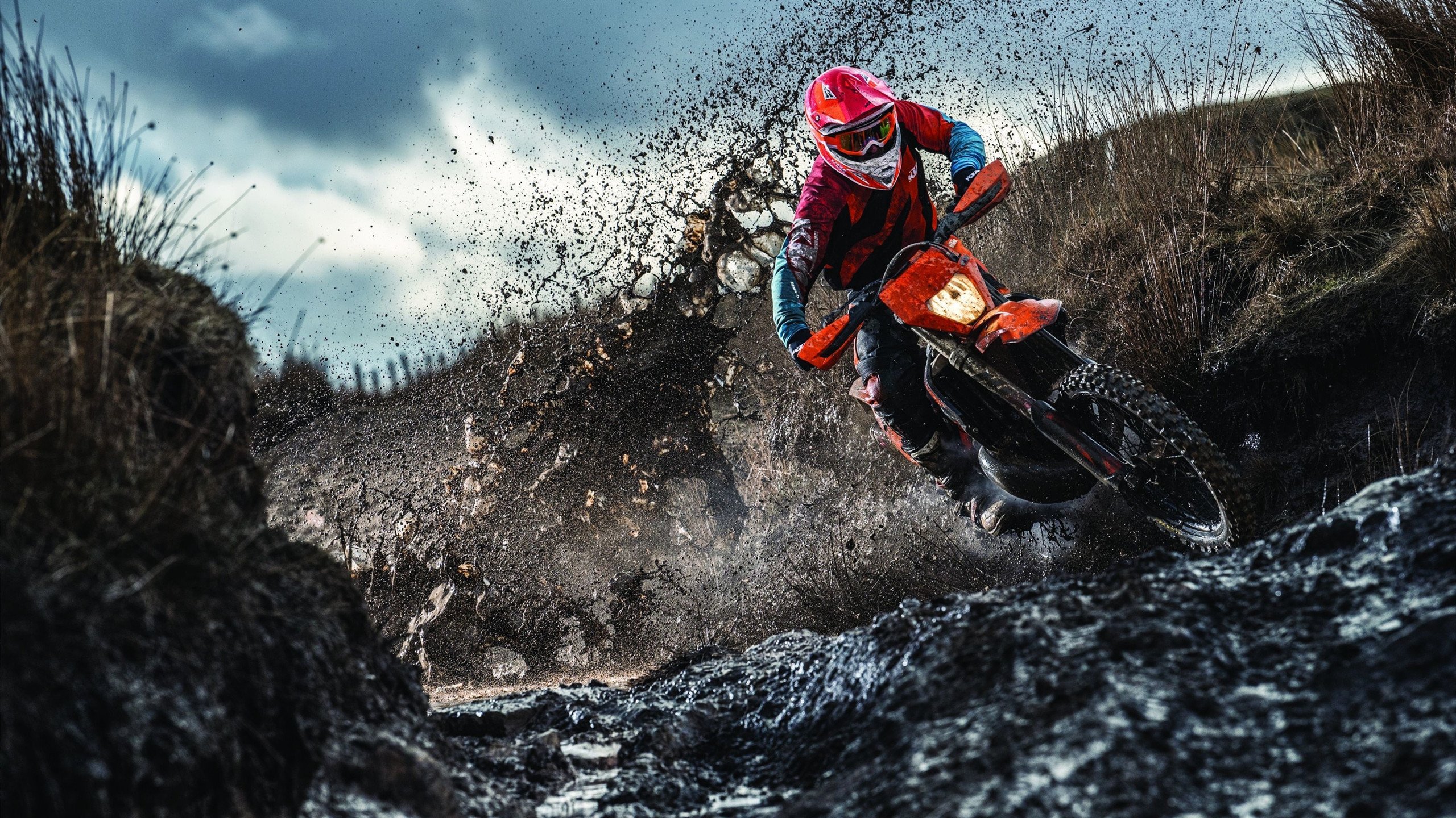 世界短道速滑:技术动作优化提升表现,2020年世界短道速滑比赛视频